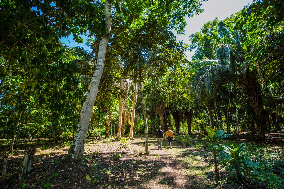 Hacienda Herrera 7